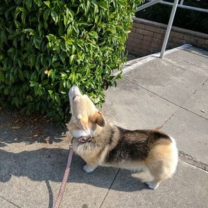 Meet your Posher, Jacqueline